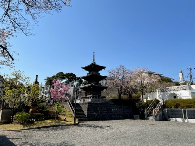 写真：花祭り